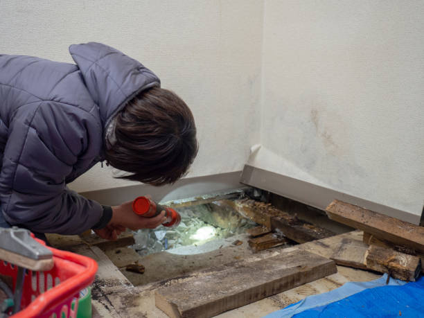 Best Water Damage & Mold Remediation  in Thomasville, AL