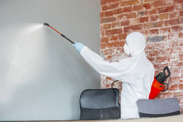 Best Mold Prevention Services  in Thomasville, AL