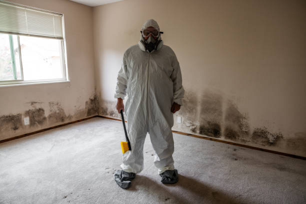 Professional Mold Removal in Thomasville, AL