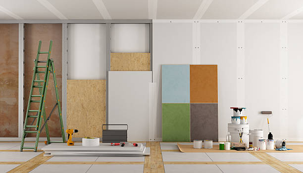 Best Basement Mold Removal  in Thomasville, AL